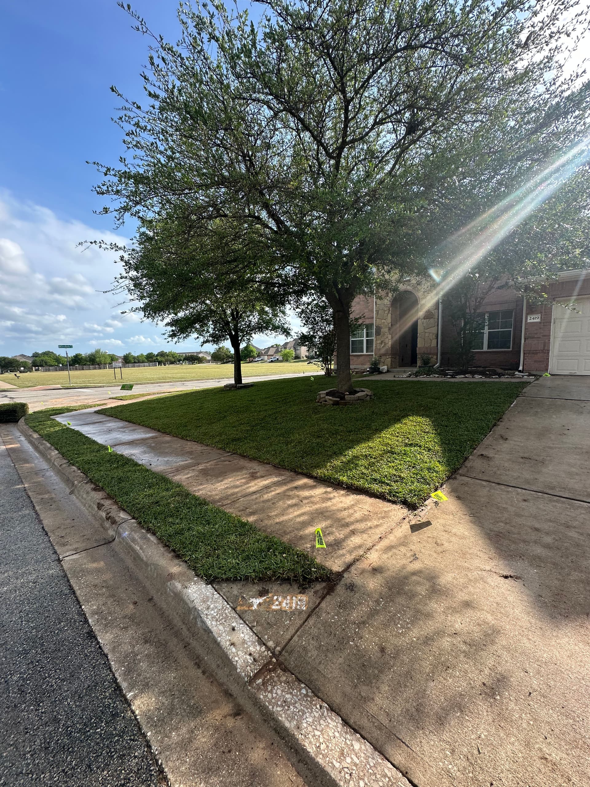 Fresh St. Augustine Sod Installation in Leander TX