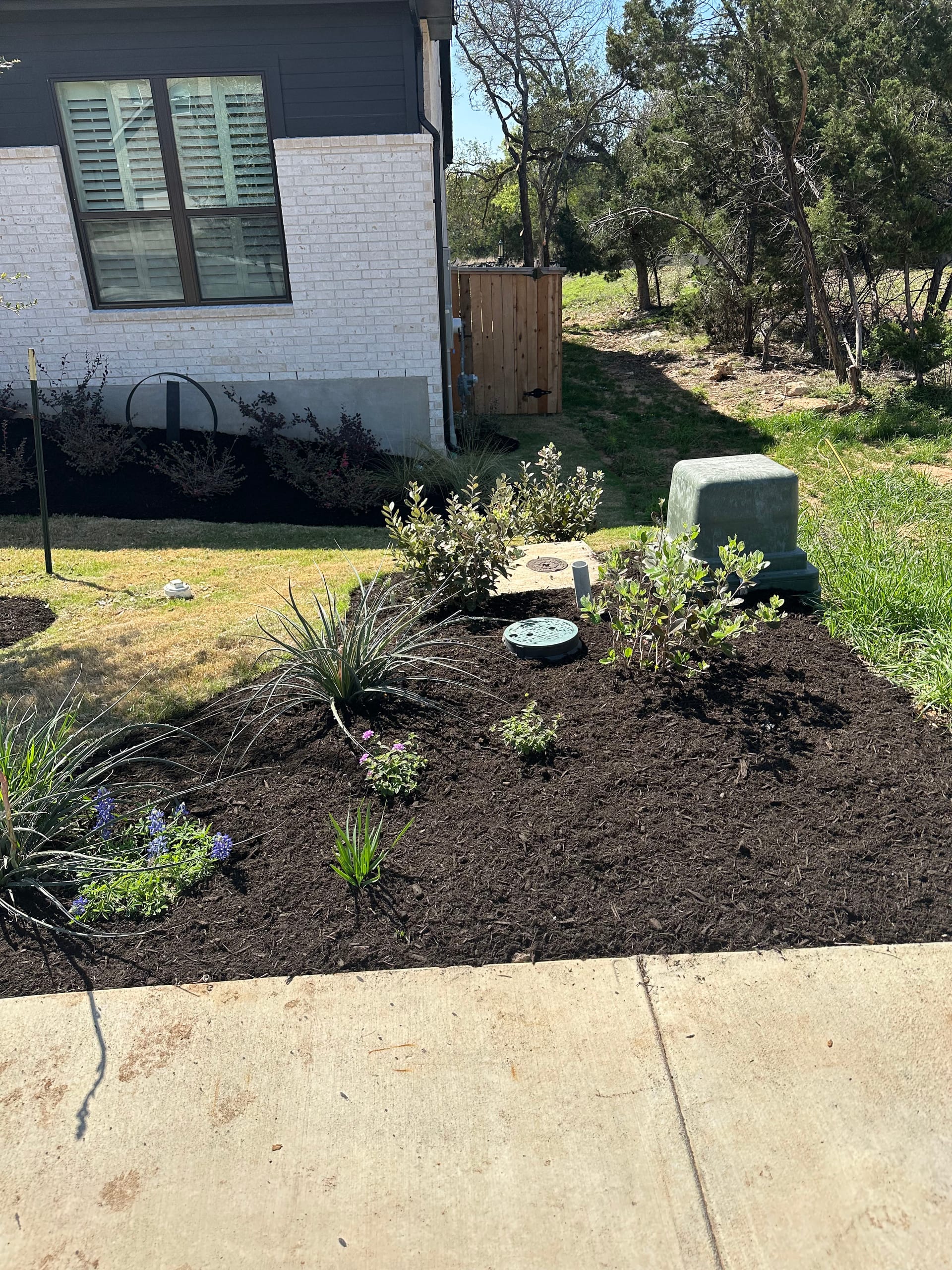 Fresh Black Mulch Adds a Touch of Elegance