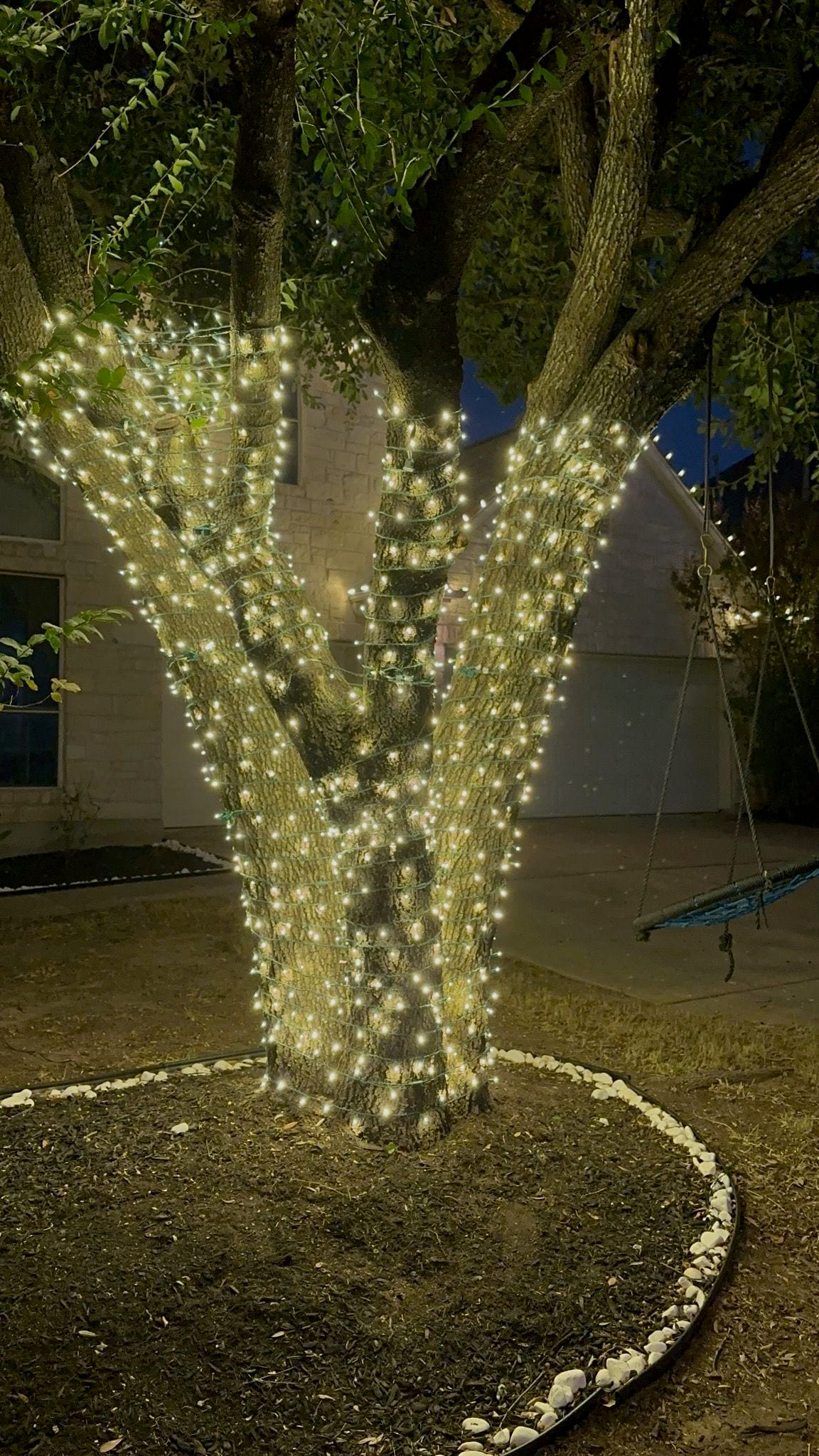Transform Your Yard with Stunning Christmas Tree Lights