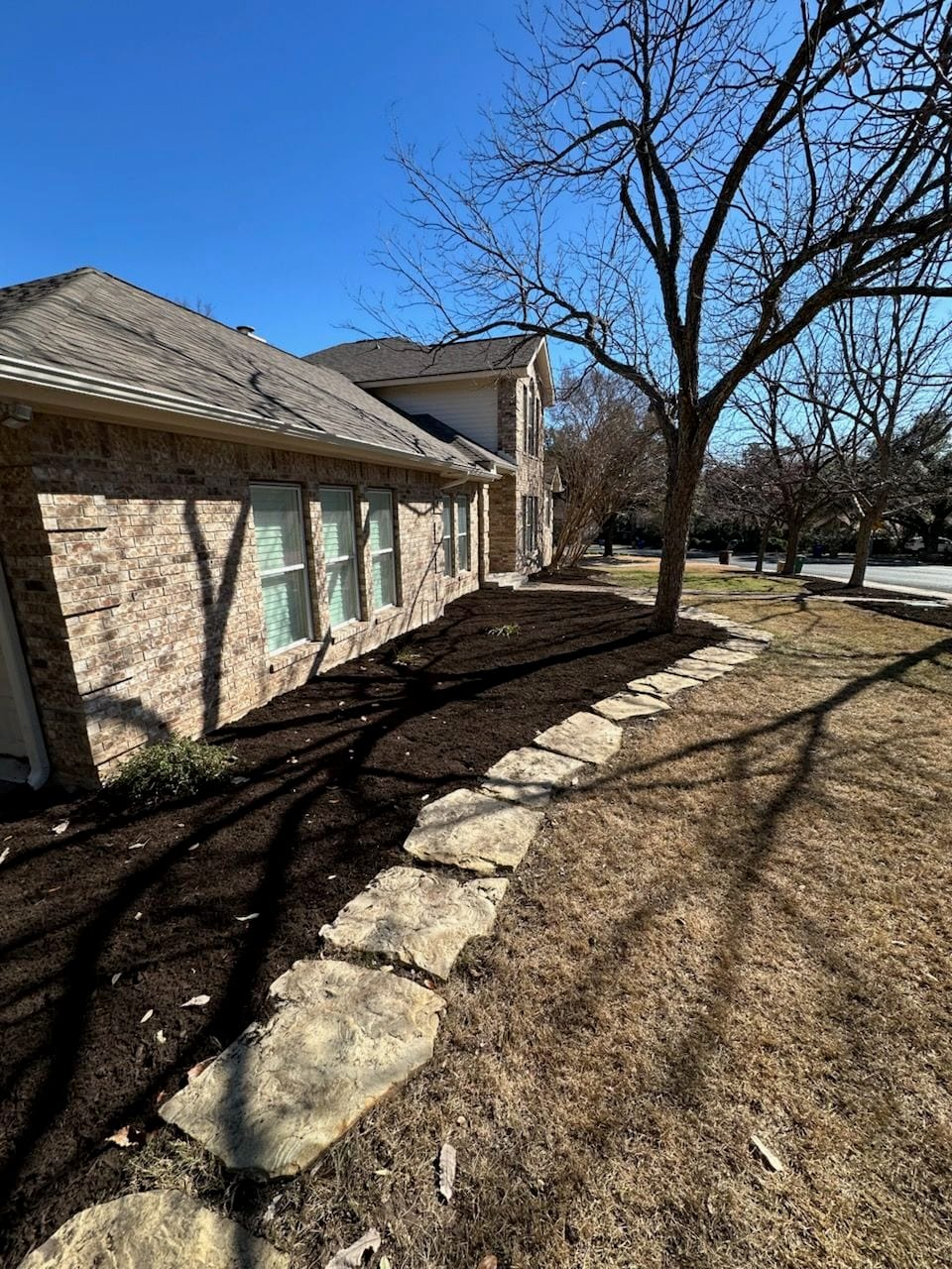 Spring-Ready Yard Transformation in Austin