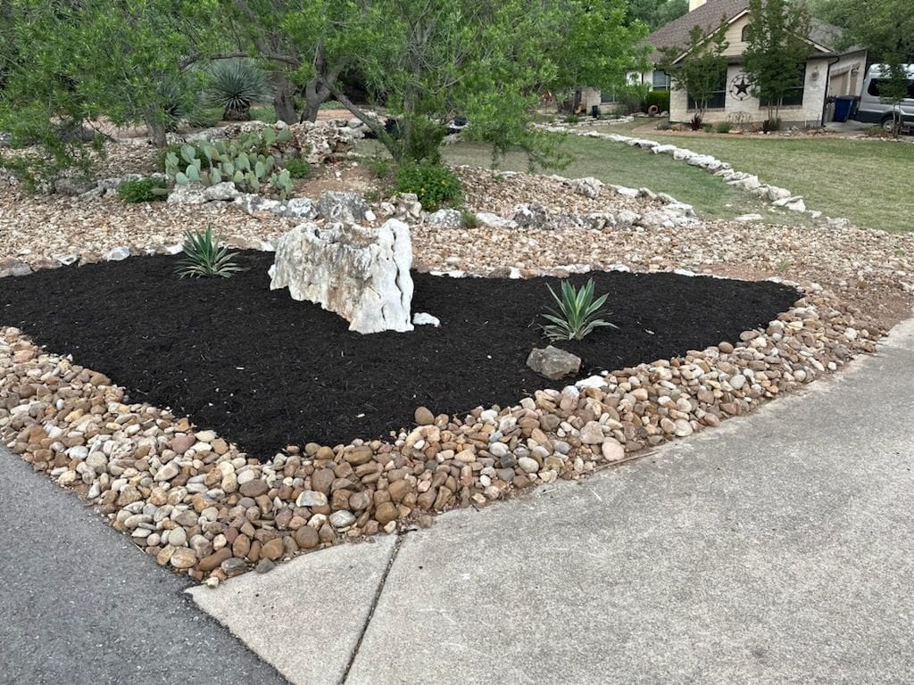 Stunning Xeriscape Yard Transformation
