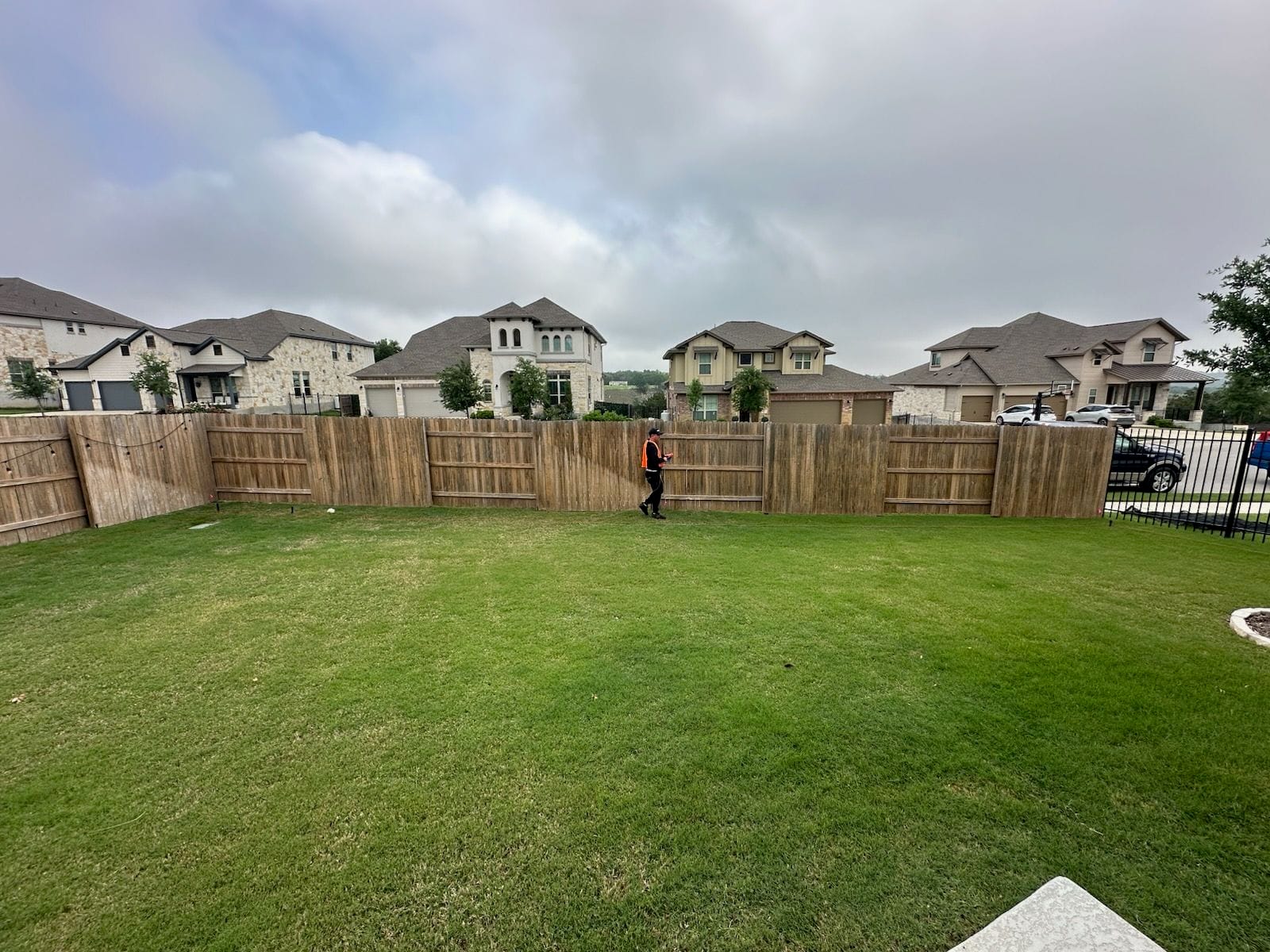 Backyard Transformation Project in Progress