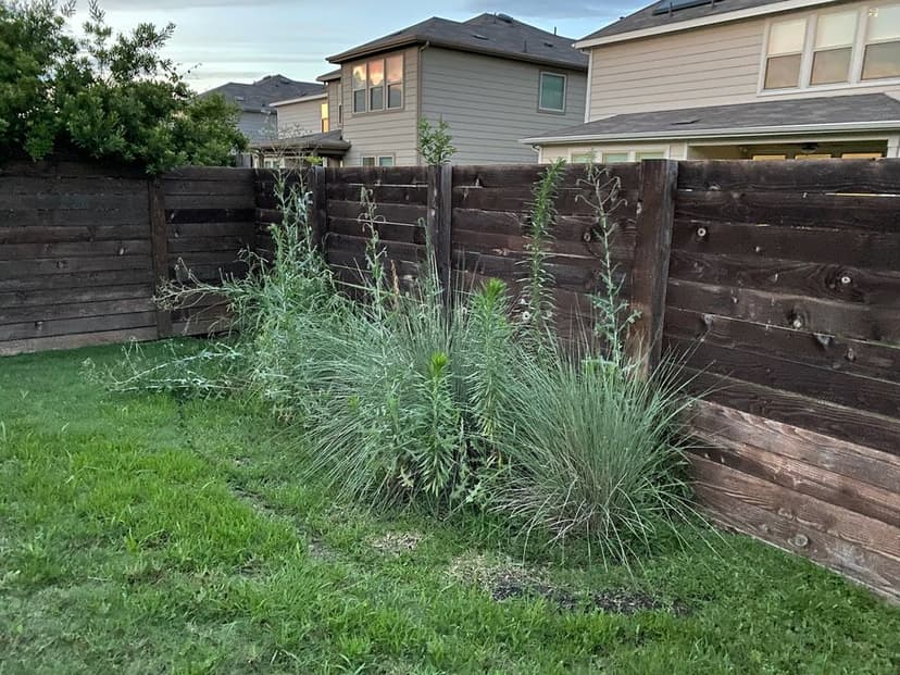 Rapid Response Time's image